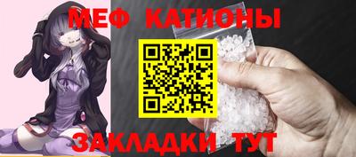 шишки Заволжье