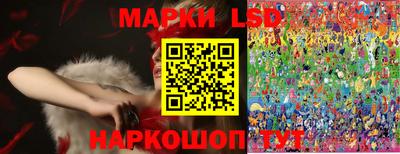 шишки Заволжье