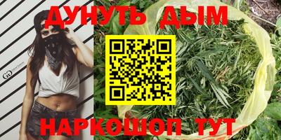 шишки Заволжье