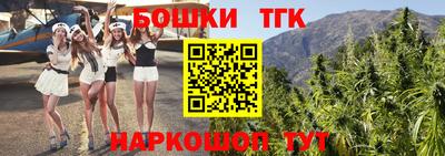 шишки Заволжье