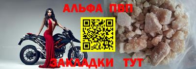 шишки Заволжье