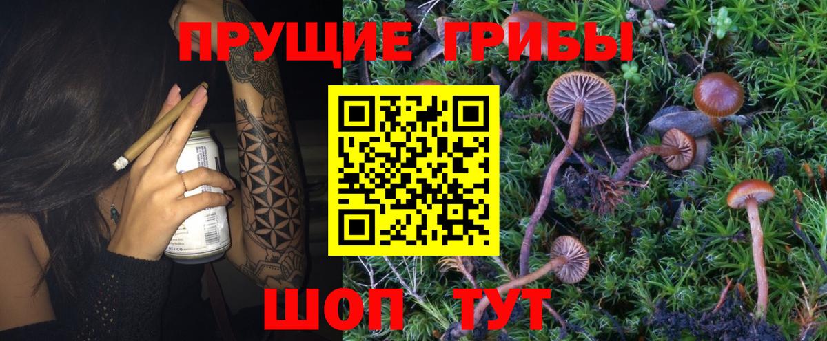 Псилоцибиновые грибы MAGIC MUSHROOMS  Вход с VPN  Псилоцибиновые грибы ЛСД  Калуга 